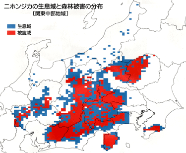 被害は人工林だけでなく、天然林へも広がっている